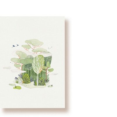 Selva tropical | tarjeta postal