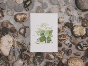 Forêt tropicale | carte postale 2