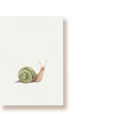 caracol | tarjeta postal