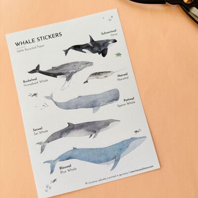 Set di 3 adesivi balena in carta riciclata/senza PVC