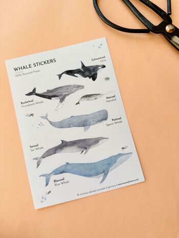 Lot de 3 autocollants baleine en papier recyclé / sans PVC