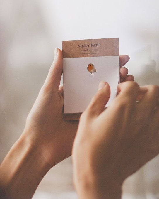 Sticky Birds | Rotkehlchen