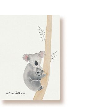 Koala - bienvenue petit | carte postale 1