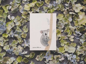 Koala - bienvenue petit | carte postale 2