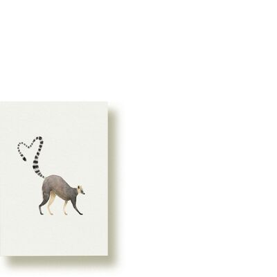 Lemur | Minikarte