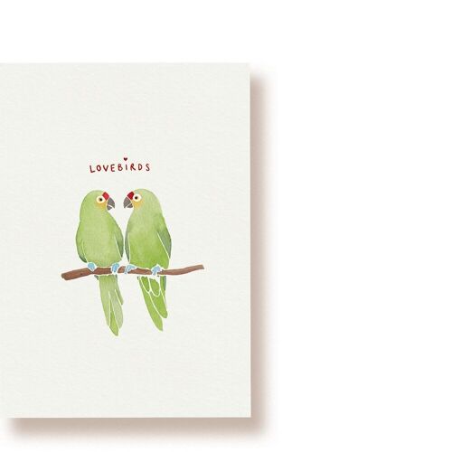 Lovebirds | Postkarte