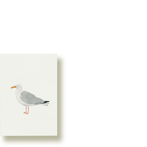 Silbermöwe | Minikarte