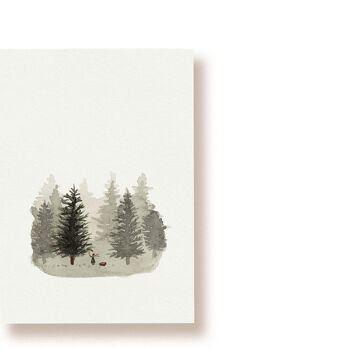 Forêt de sapins | carte postale 1