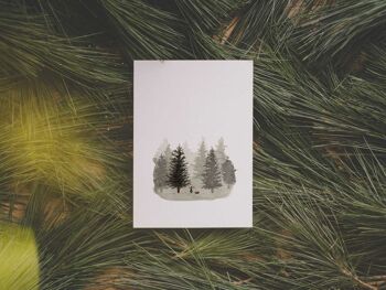 Forêt de sapins | carte postale 2