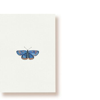 Papillon de feu irisé bleu | carte postale 1