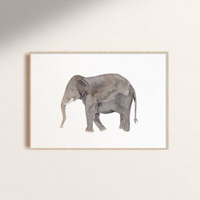 elefante | Impresión de arte A4