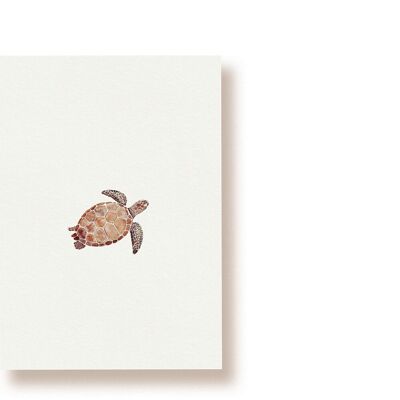 tortuga | tarjeta postal