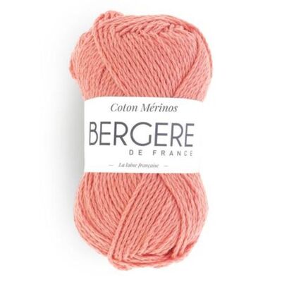 CAMELIA MERINO COTONE