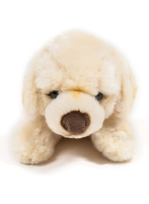 Peluche Popey le labrador, 35 cm