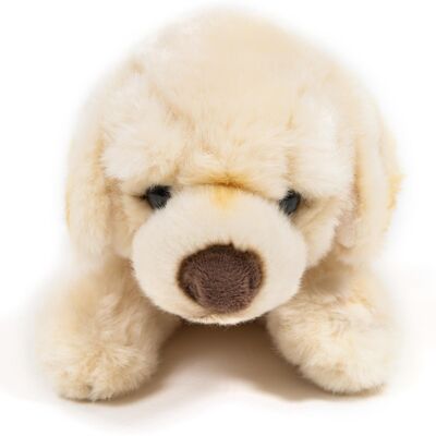 Popey il peluche labrador, 35 cm