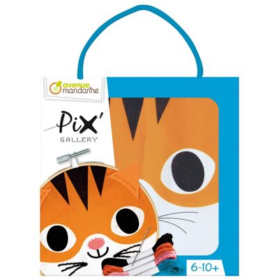 Pix Gallery, Tamburin-Katze