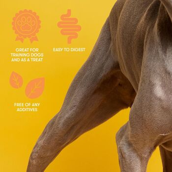 Friandises pour chiens en bandes de peau de morue 100 % naturelles Buddylicious 6