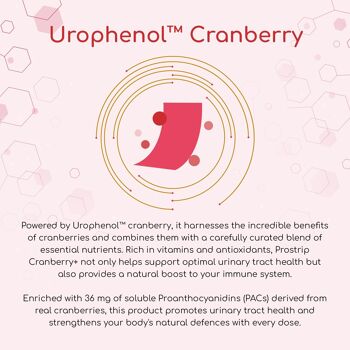 PROSTRIP®️ CRANBERRY+ Urophénol™ fournissant 36 mg de proanthocyanidines (PAC) - Ajouté de D-mannose, d'hibiscus biologique, de vitamines D3, B6 et C - 30 bandelettes végétaliennes orales - Pas d'eau nécessaire - par Prowise Healthcare 4