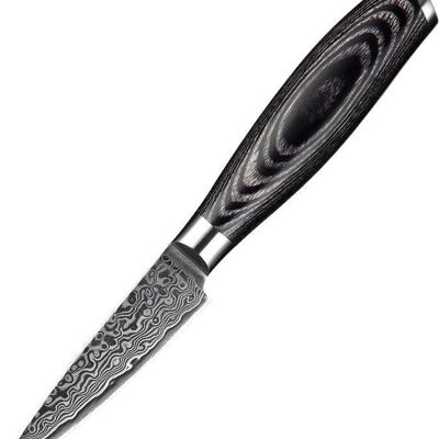 Cuchillo de pelar Xinzuo Damasco - Serie B20 Ya