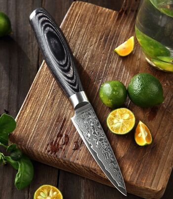 Couteau d'office Xinzuo Damas - Série B20 Ya 4
