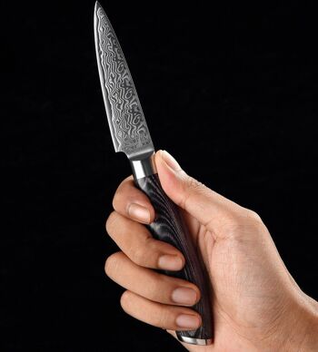 Couteau d'office Xinzuo Damas - Série B20 Ya 6