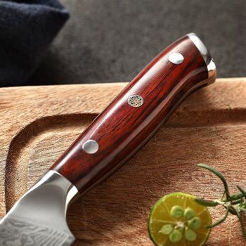 Couteau à steak Xinzuo Damas - Série B13R Yu 2