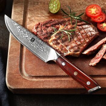 Couteau à steak Xinzuo Damas - Série B13R Yu 4