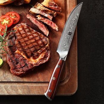 Couteau à steak Xinzuo Damas - Série B13R Yu 6