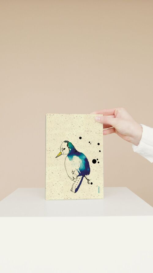 Cahier Oiseau bleu