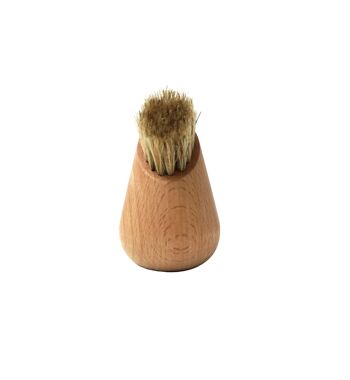 Brosse à champignons 2