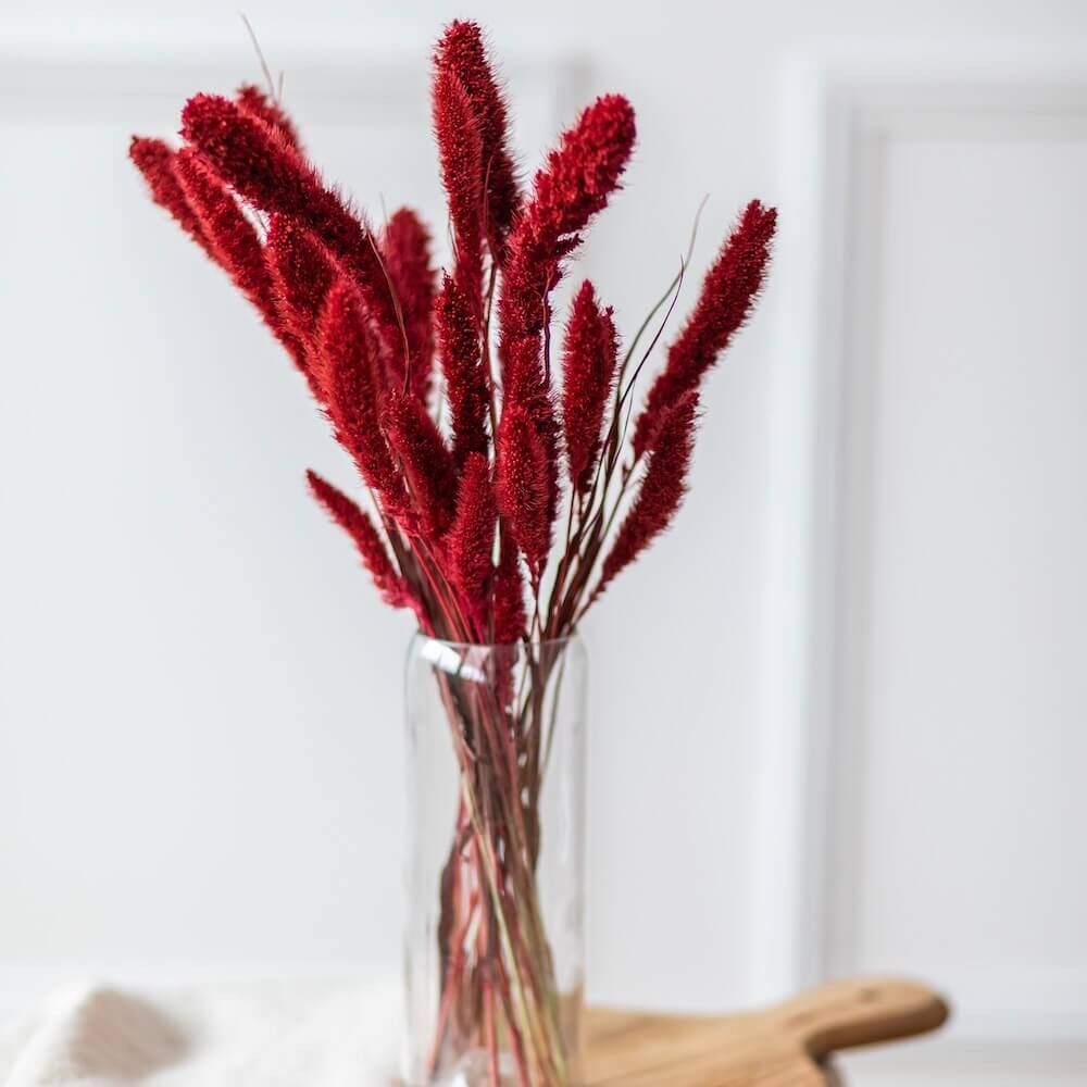 Stivale coda di volpe rossa