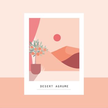 Carte postale désert agrume 1