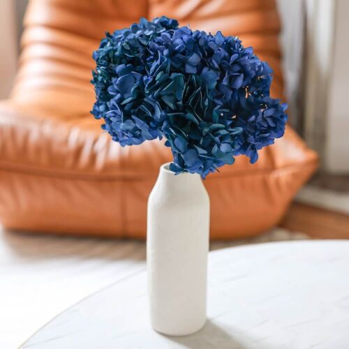 Hortensia Bleu