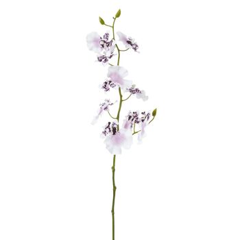 Tige d'Orchidée Oncidium 2