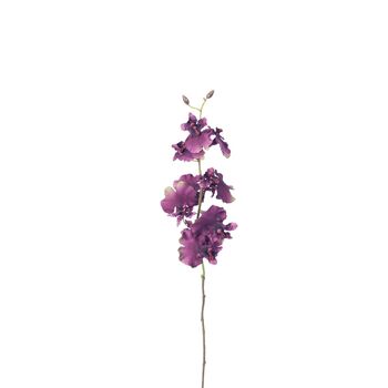 Tige d'Orchidée Oncidium 7