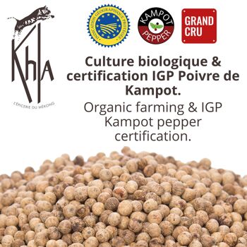 Poivre blanc de Kampot IGP - Biologique - Premium - en grain 1kg 2