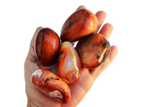 XL Carnelian Tumbled Stone (40mm - 60mm)