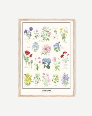 Florum & Aromatiques Poster 1