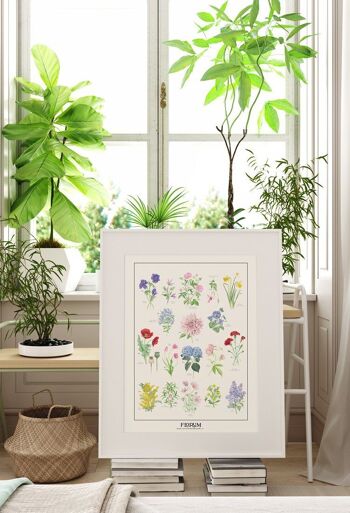 Florum & Aromatiques Poster 2