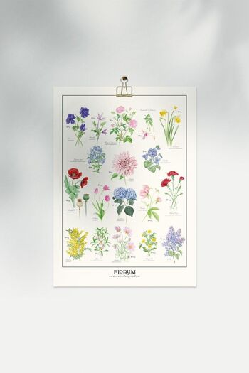Florum & Aromatiques Poster 19