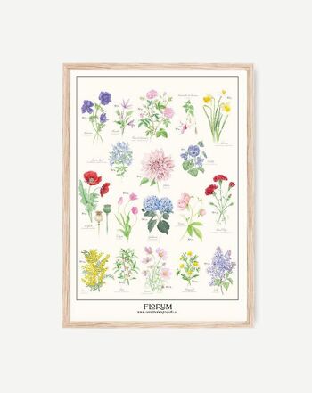 Florum & Aromatiques Poster 21