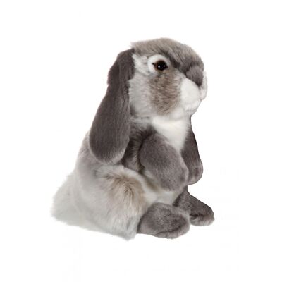 Conejo carnero gris - 18 cm