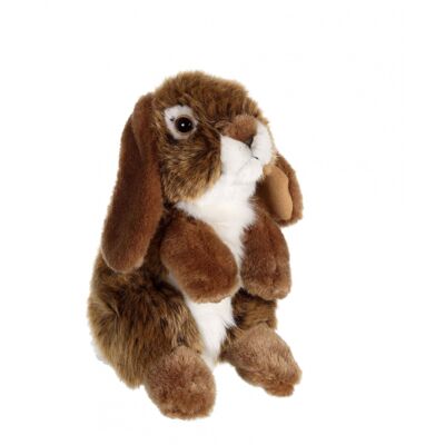 Coniglio montone marrone - 18 cm