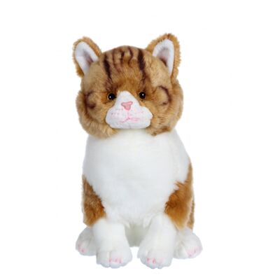 Gatto Grande gatto marrone - 33 cm