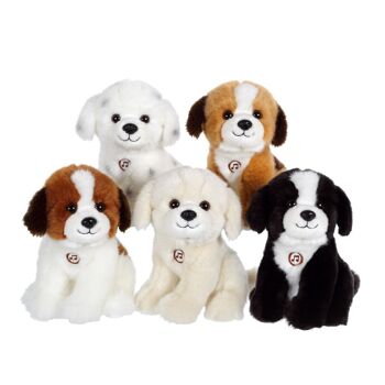 Chien Mimi dogs sonore blanc - 18 cm 3