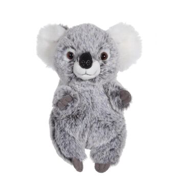 P'tits Farouches koala - 15 cm 1