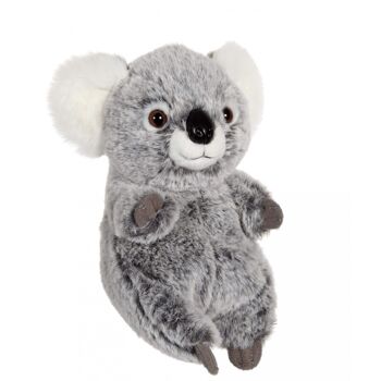 P'tits Farouches koala - 15 cm 2