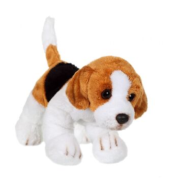 Floppipup beagle - 22 cm 4