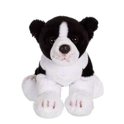 Floppipup Border Collie – 22 cm