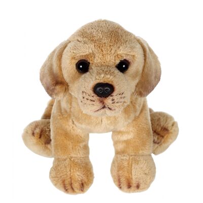 Floppipup-Labrador – 22 cm